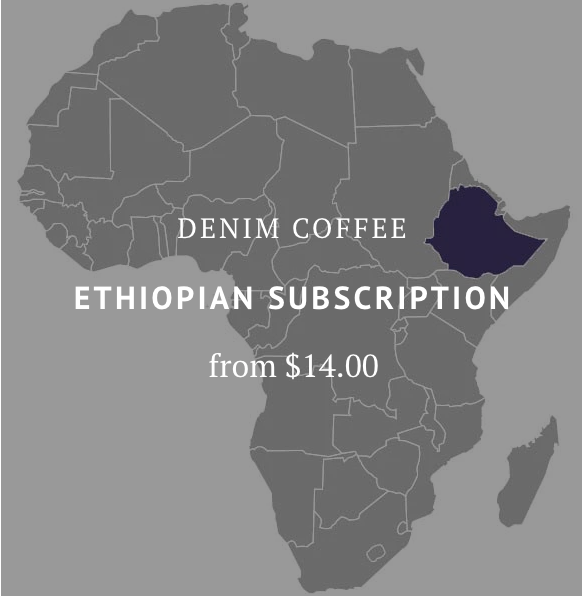 Ethiopian SUBSCRIPTION