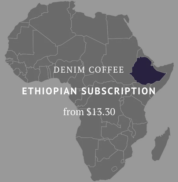 Ethiopian SUBSCRIPTION