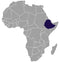 Ethiopia Wush Wush *RESERVE*
