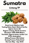 Sumatra Lintong TP