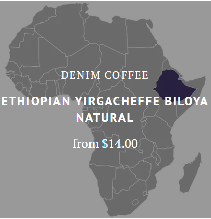 Ethiopia Yirgacheffe Biloya Natural