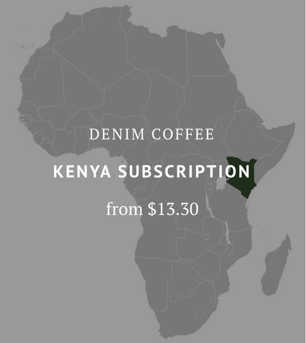 Kenya SUBSCRIPTION